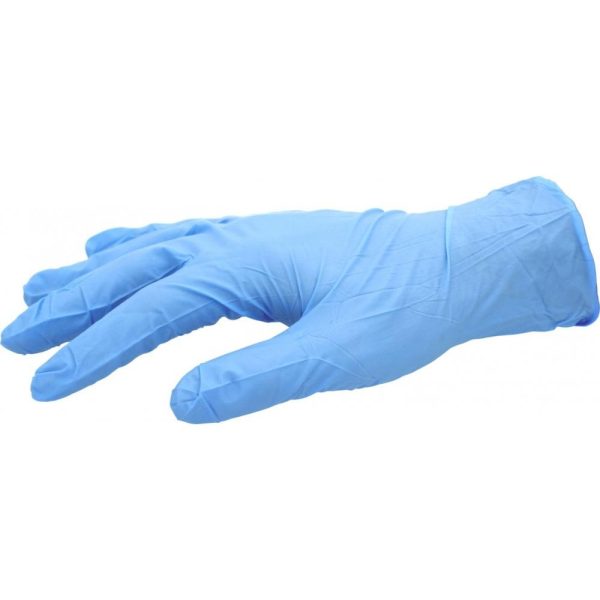 Blue Nitrile Gloves (10)